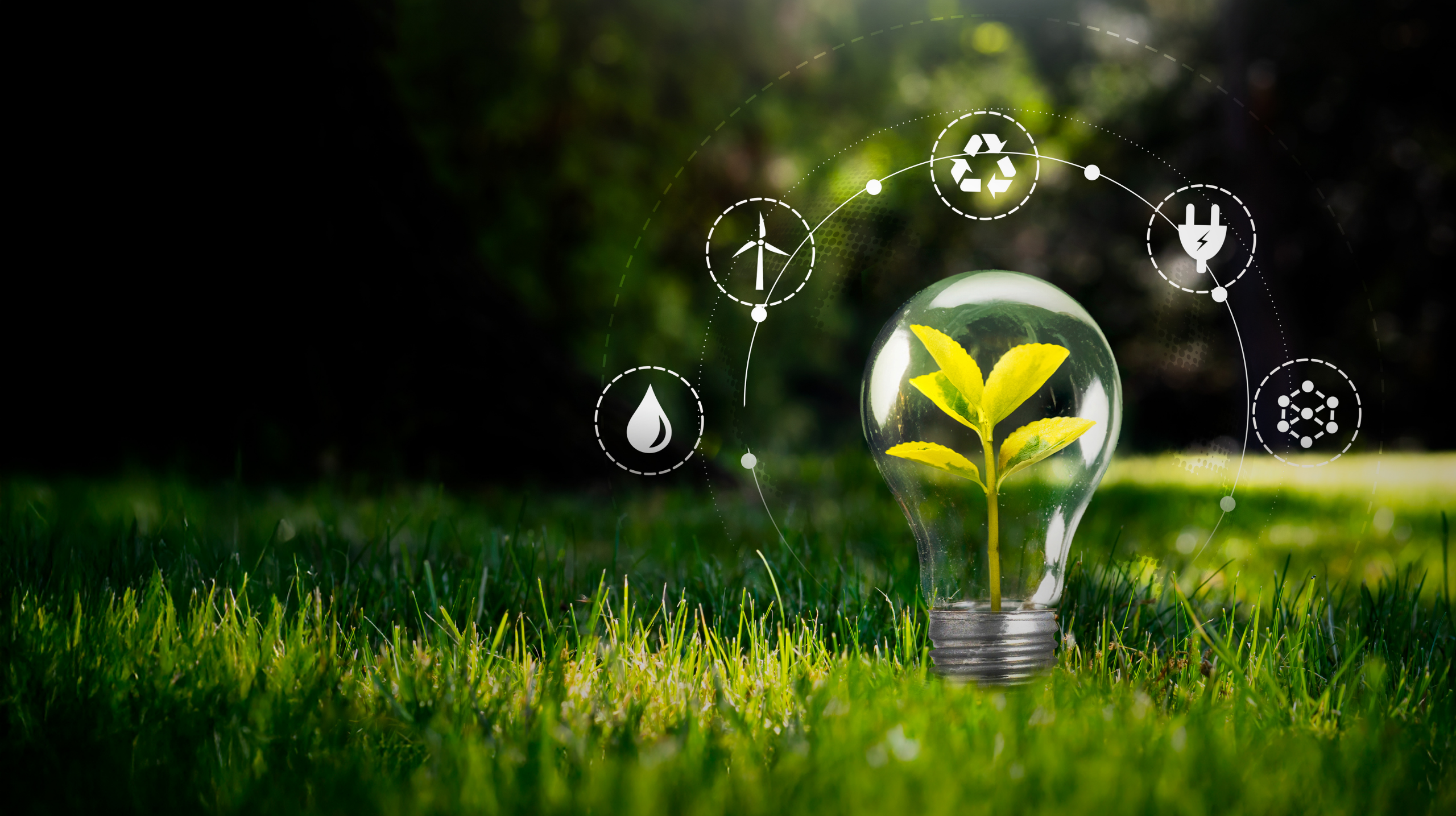 promote climate and environmental awareness